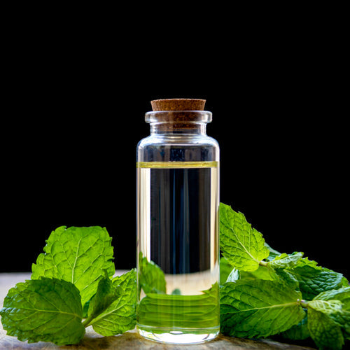 Peppermint Oil For Hair Growth: Truth Or Myth?